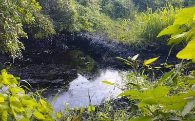 Elsoldemexico_ veracruz-oil-spill