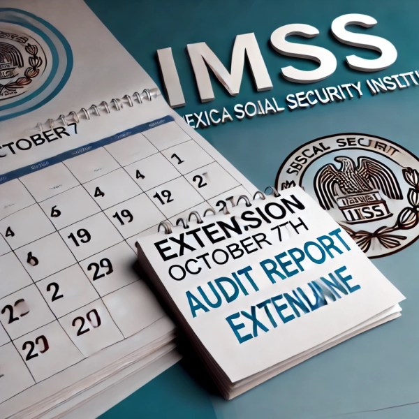 IMSS audit report deadline extension