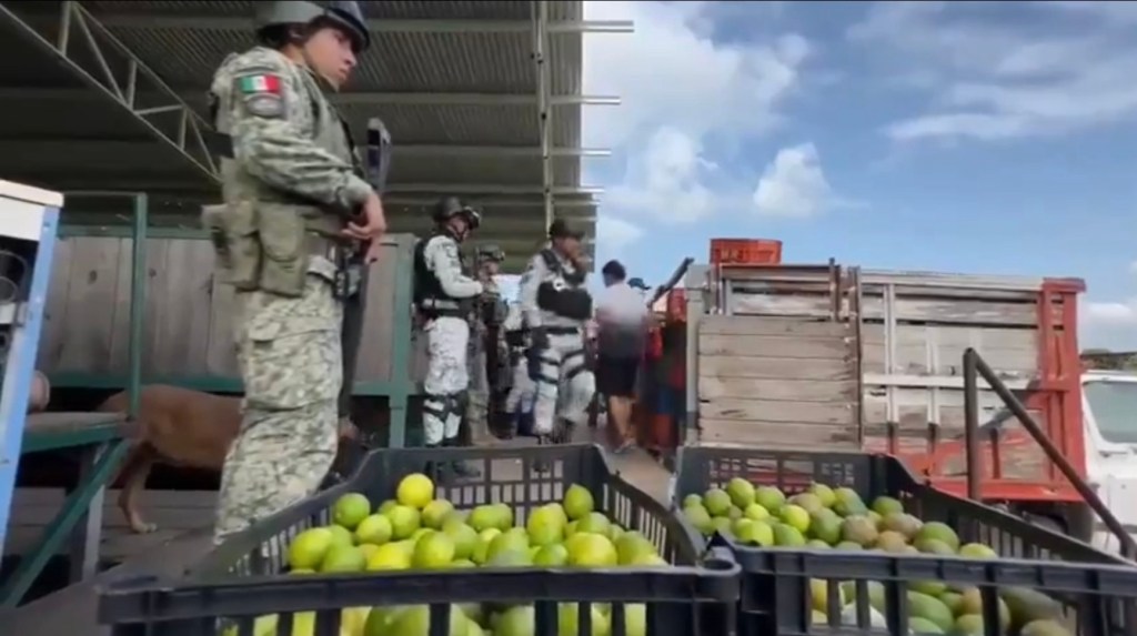 Michoacán Lemon GN