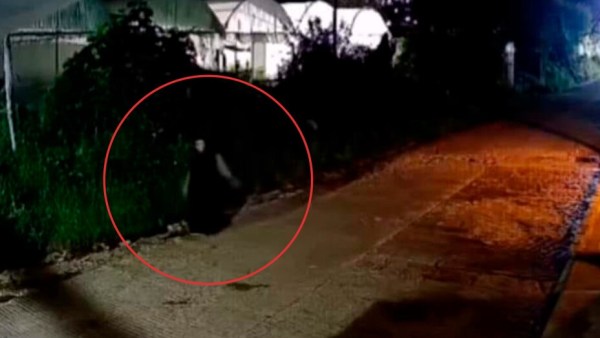 TV Azteca-zinacantan-nahual-expulsan