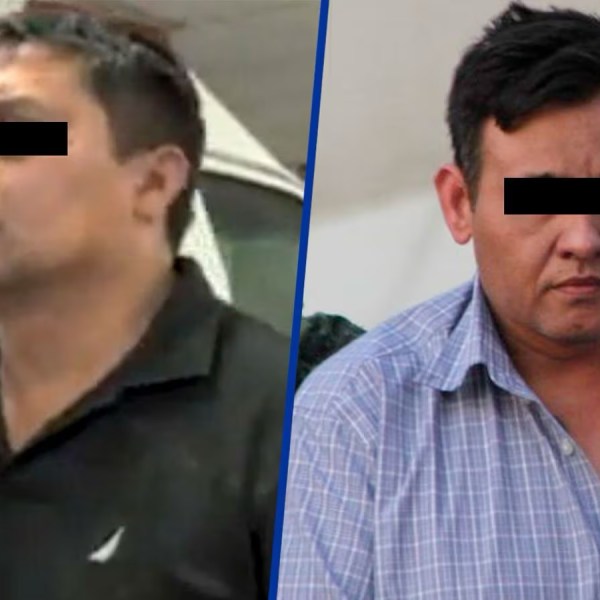 Elfinanciero-el-z-40-cdn-extradition