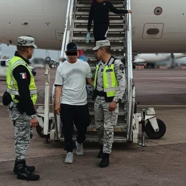 Aristegui-guadalajara-flight-disturbance