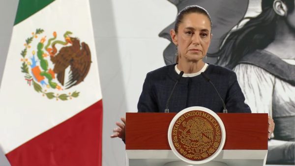 El economista mexico-terrorismo-armas-demandas-eeuu-carteles-trump-seguridad