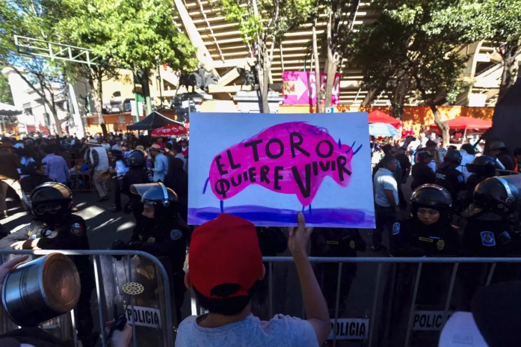 Expansion-cdmx-reforma-corrida-toros-sinviolencia-bienestar-animal-ley-amparo-multa-tauromaquia-espectaculo-publico