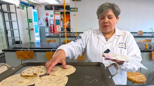 Eleconomista-unam-tortilla-nutraceutica-fermentacion-nutricion-obesidad-desnutricion-probioticos-prebioticos-impi-innovacion
