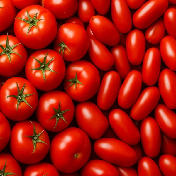 tomatoabundance