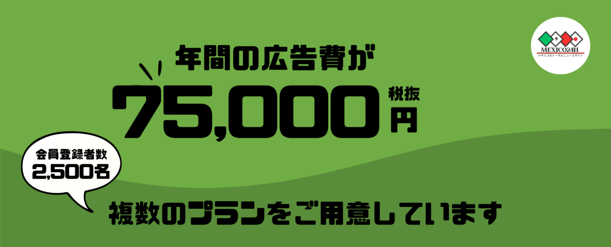 Promotion_plan_for_company